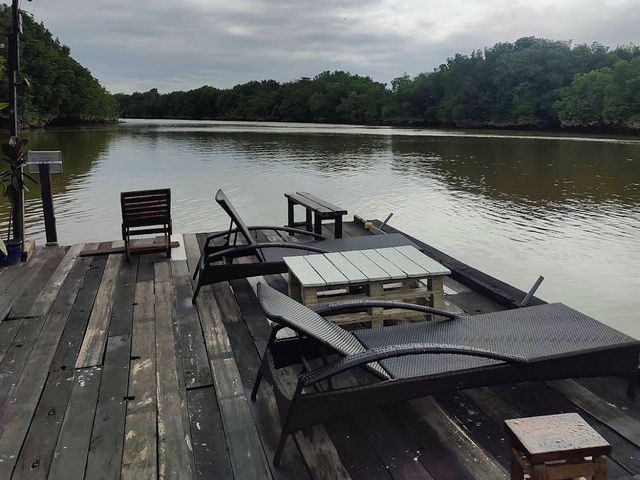 Outdoorgate Sepang Mangrove River Kayaking