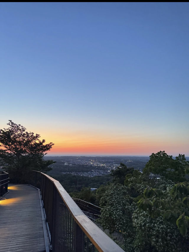 【天空の絶景カフェ☕横山展望台で英虞湾を一望！】