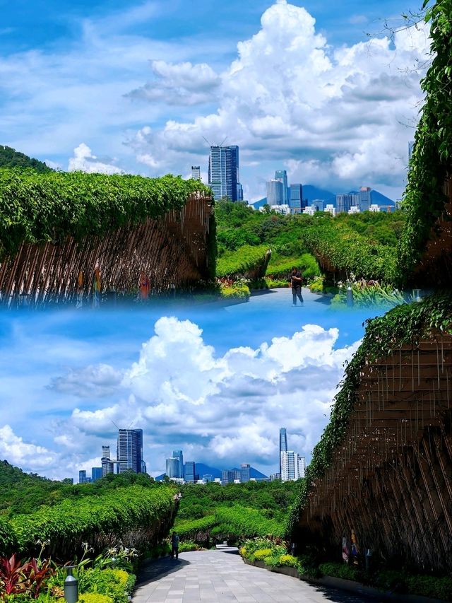 筆架山雙峰連走