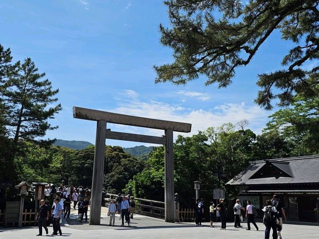 通往神域的入口〔伊勢神宮 宇治橋〕⛩️🌉