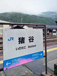 日本山里的自然，富山〔豬谷站〕🐗?