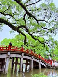 太宰府天滿宮& 九州國立博物館