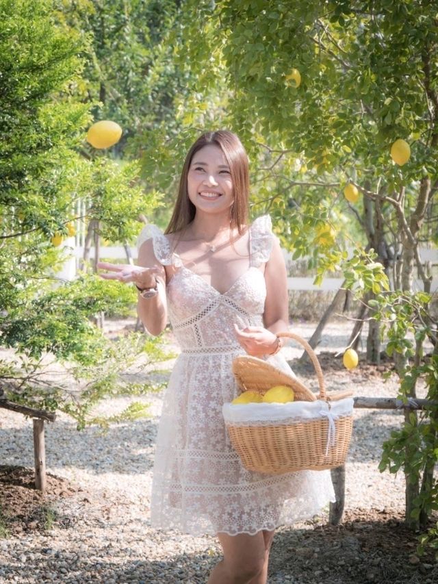 Summer Bloom Cafe