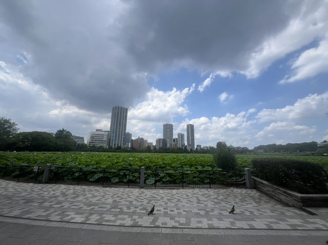 秘境之旅：不冷池的靜謐時光