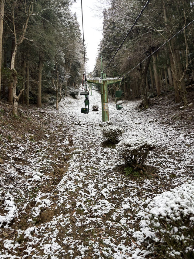 津和野城跡（需搭纜車）