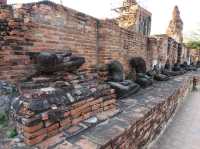 🌿 Whispers of the Past at Wat Mahathat, Ayutthaya