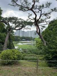 올림픽 공원 여행