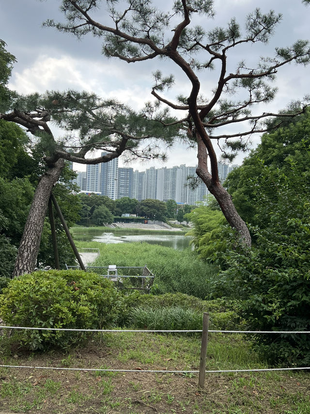 올림픽 공원 여행