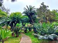 Xiamen Botanical Garden