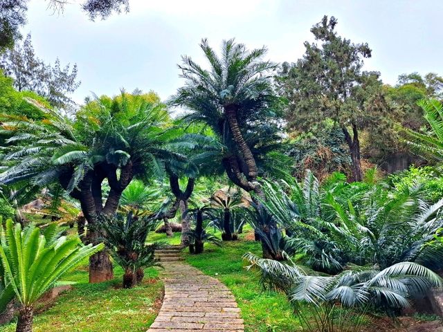 Xiamen Botanical Garden