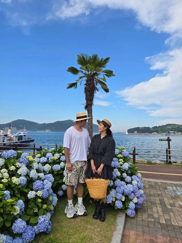 야자수 가득한 휴양지감성 거제 수국명소💜