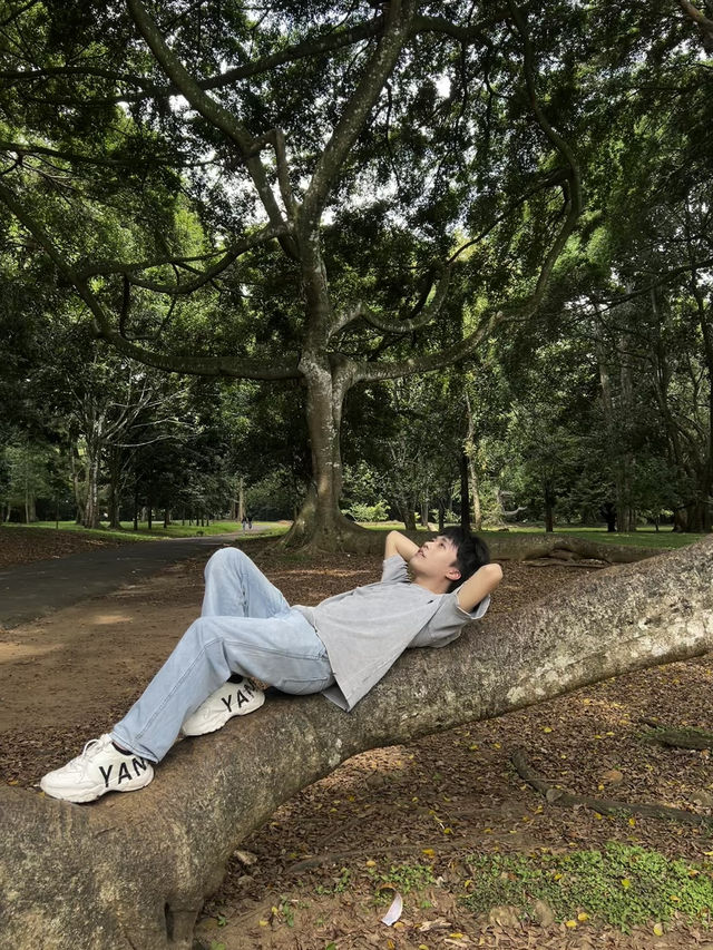 🌴斯里蘭卡最出片棕櫚大道｜本地人還搶著跟同行小姐姐拍照！