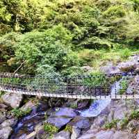 頂湖社區-草山瀑布-猴崁水圳步道-竹子湖歡樂行