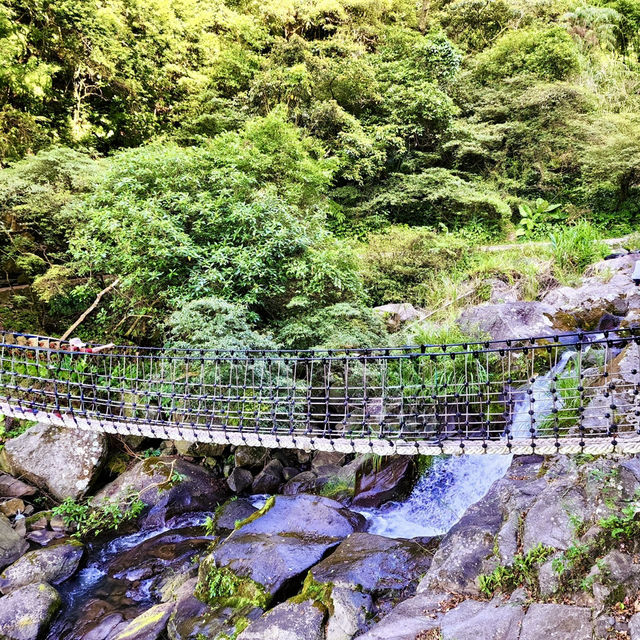 頂湖社區-草山瀑布-猴崁水圳步道-竹子湖歡樂行