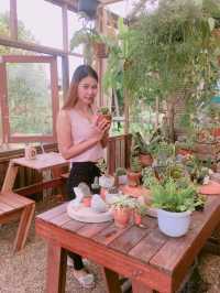  โรงสี สตูดิโอ คาเฟ่ นนทบุรี