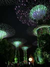 แชร์ประสบการณ์เที่ยว Gardens by the Bay @สิงคโปร์
