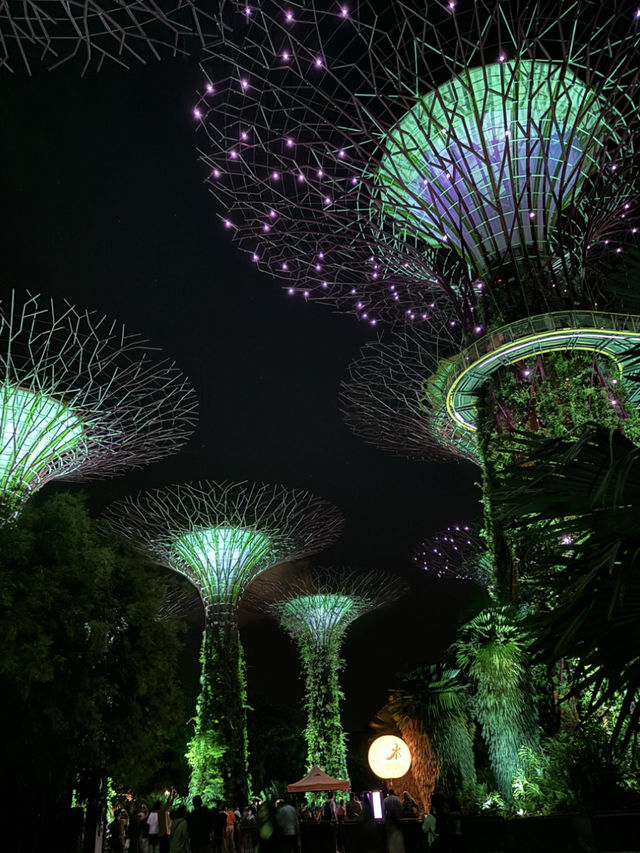 แชร์ประสบการณ์เที่ยว Gardens by the Bay @สิงคโปร์