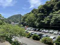 靜岡伊豆下田紫陽花季 六月限定景點