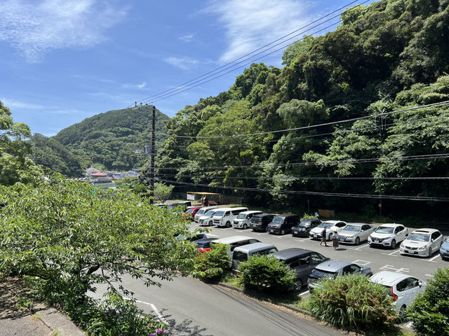 靜岡伊豆下田紫陽花季 六月限定景點