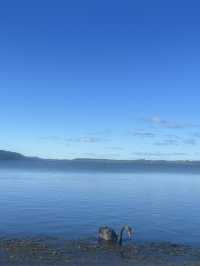 💙🦢 New Zealand’s Lake Days – Where the Sky Meets the Water