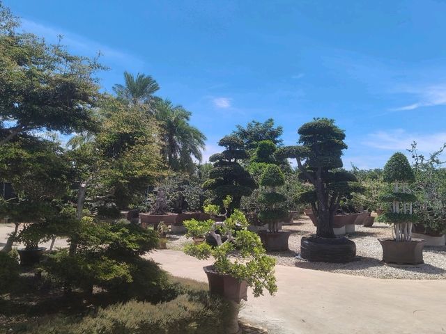สวนนงนุช สวนสวย1ใน10ของโลก สวนนงนุช สวนสวย1ใน10ของโลก