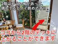 【沖縄/宮古島】ここのマンゴーは絶対食べとかないと!!