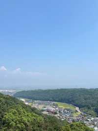 🦊【打開神域山林｜佐賀祐德稻荷神社】千本鳥居下的心願與祝福🌿⛩️