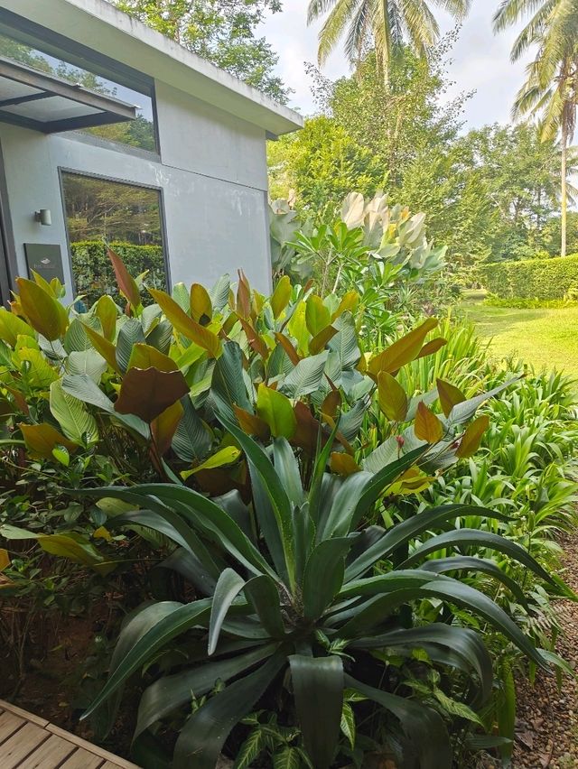 The Hidden Resort & Restaurant รีสอร์ทลับในป่า