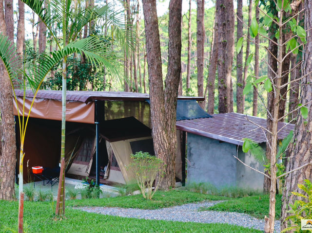 Doi Bo Luang Forest Park