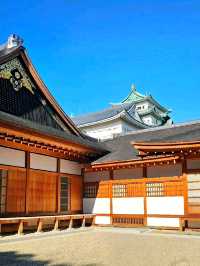 Echoes of the Past at Nagoya Castle