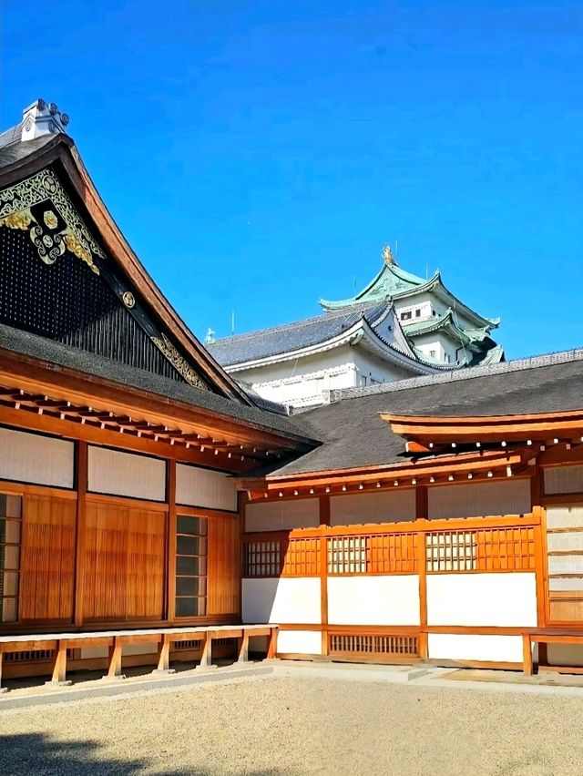 Echoes of the Past at Nagoya Castle