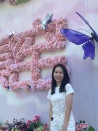เมืองเล็กๆแห่งเซรามิก