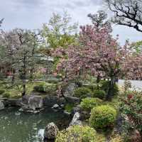 🛕 Where Time Meets Tranquility: Rokuharamitsu-ji & Reiwakan in Kyoto 🌸🪷