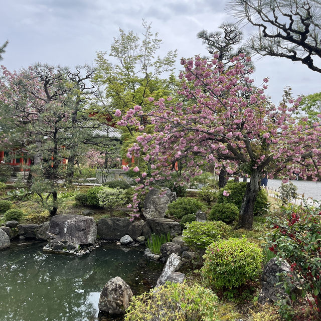 🛕 Where Time Meets Tranquility: Rokuharamitsu-ji & Reiwakan in Kyoto 🌸🪷