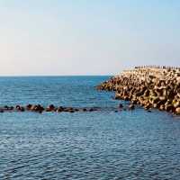 A Scenic Promenade with Ocean Views and Public Art