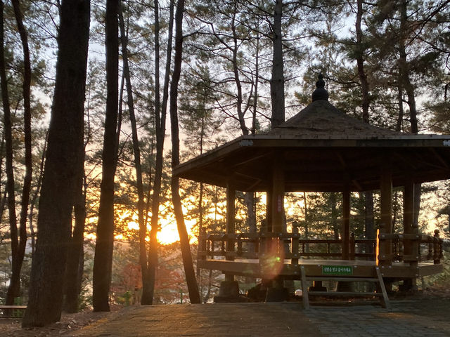 당일치기 진주 여행 일정 공유 ❤️