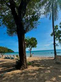 Jungle, Cliffs at Koh Lanta National Park