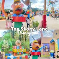 🎠Toy Story Land🎲 