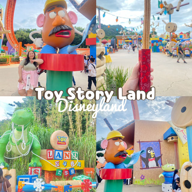 🎠Toy Story Land🎲 