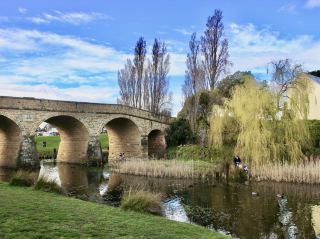과거의 황금 아치: 시간이 멈춘 태즈매니아의 다리