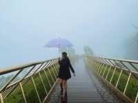 บาน่าฮิลล์ (Ba Na Hills) 