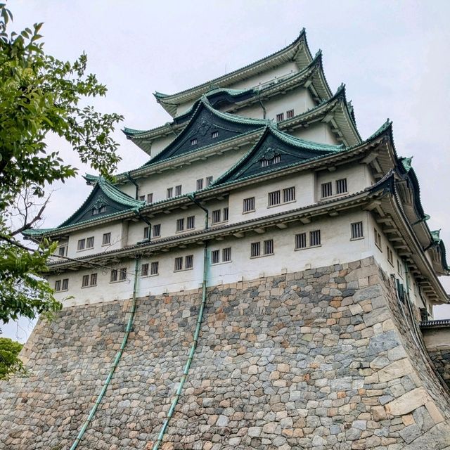名古屋 | 名古屋城，名古屋人氣 No.1 觀光景點