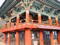 Hidden Peace on the Hillside: Beomeosa Temple, Busan