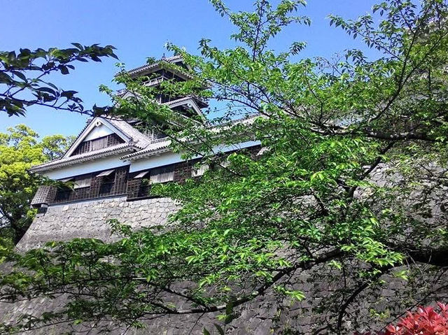九州中部 熊本城 熊本煙火