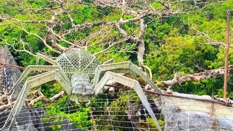 Wandering Through Masungi's Stone SancturyWandering Through Masungi's Stone Sanctuary — traveler post in Tanay