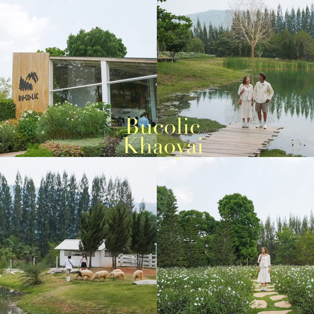 รวม 20 คาเฟ่เขาใหญ่