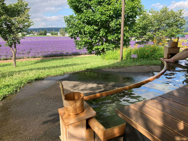 送上最新 #富田農場🇯🇵 薰衣草花況 🪻