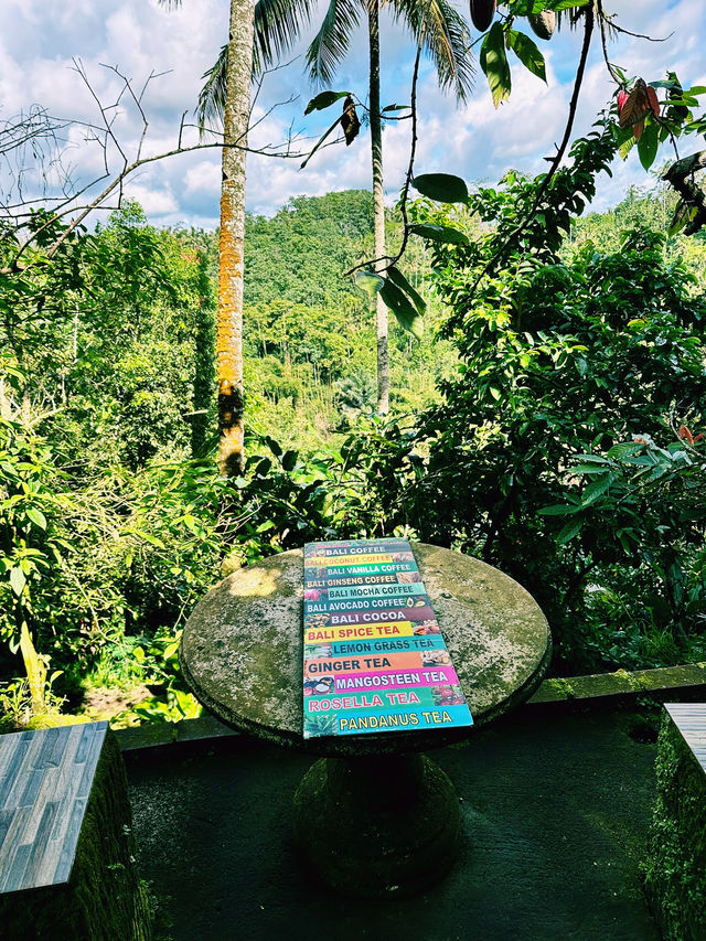 Sip, Scent & Civet: Luwak Tasting at Santi Coffee Plantation