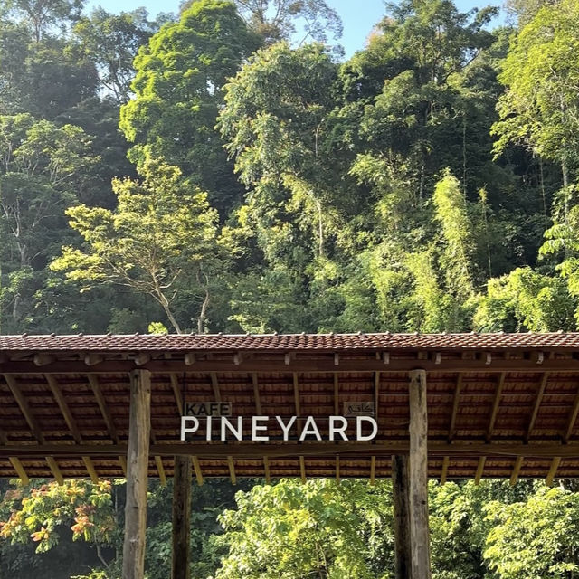A Forest Hideaway Above the Highlands – My Visit to Pineyard Café, Genting