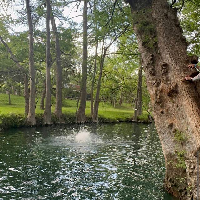 Blue Hole Regional Park – Wimberley
